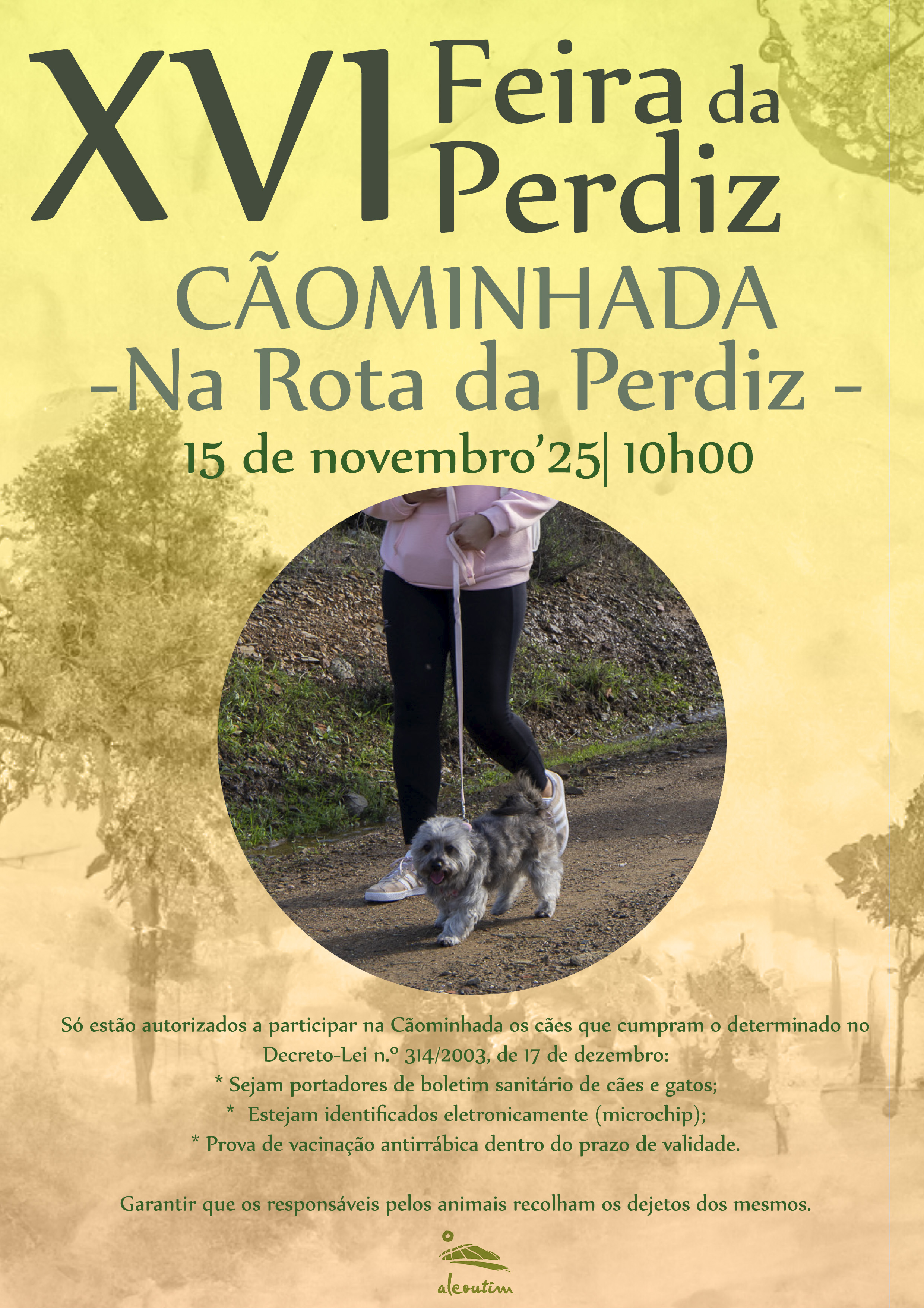 Cartaz Caominhada 25